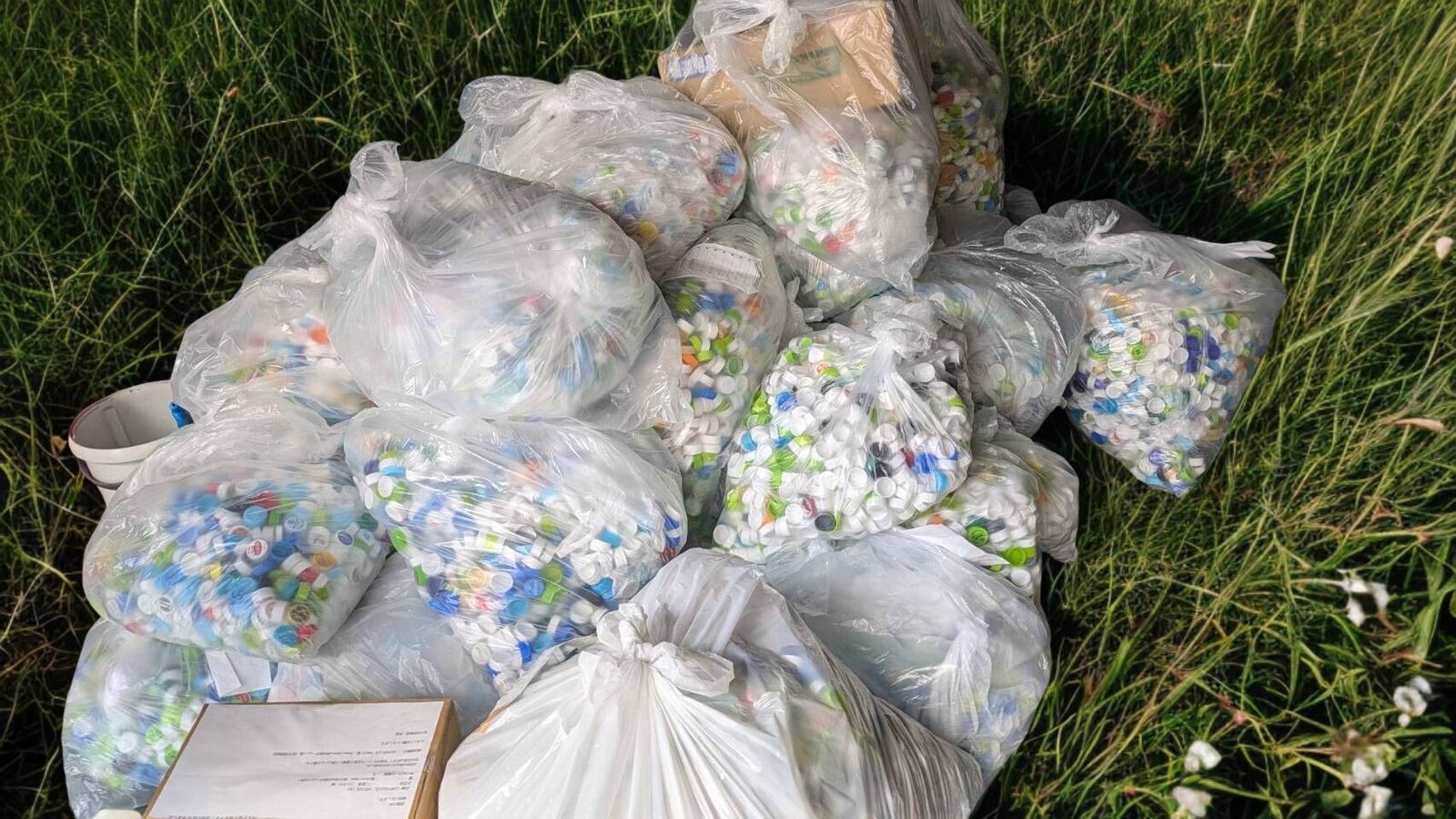 ペットボトルキャップの寄付報告（2025/10～11）